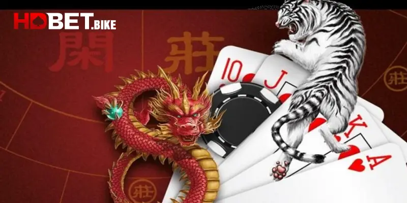 Rồng hổ HDBET là gì?