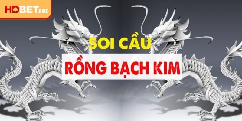 Rồng bạch kim 777 là gì và có điểm gì nổi bật?